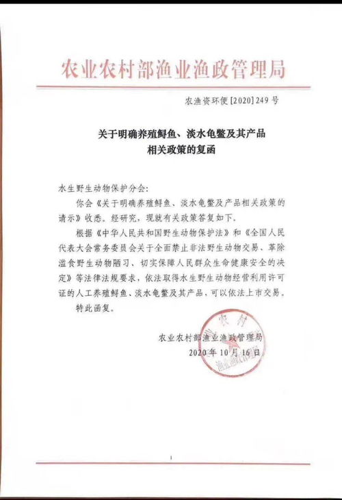 重磅喜訊,淡水龜鱉及其產(chǎn)品符合標(biāo)準(zhǔn)允許上市交易